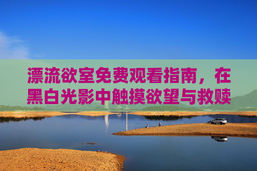 漂流欲室免费观看指南，在黑白光影中触摸欲望与救赎的真实