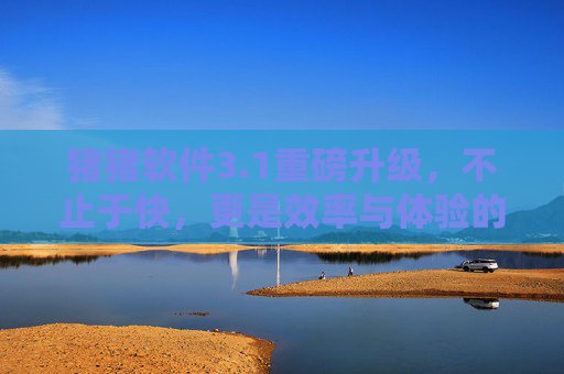 猪猪软件3.1重磅升级，不止于快，更是效率与体验的双重飞跃，猪猪软件3.1重磅升级，效率与体验双重飞跃