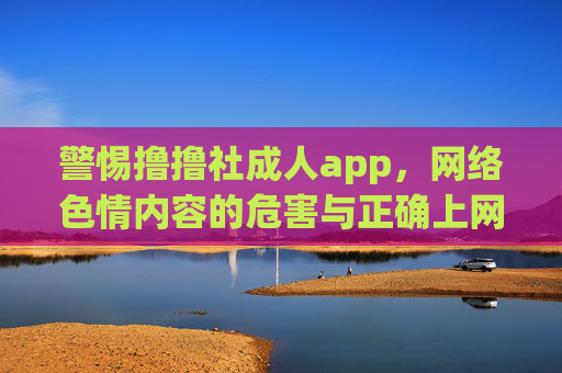警惕撸撸社成人app，网络色情内容的危害与正确上网引导，警惕撸撸社成人app，网络色情内容的危害与正确上网引导