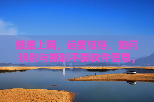 健康上网，远离低俗，如何辨别与抵制不良软件信息，辨别抵制不良软件信息，健康上网远离低俗
