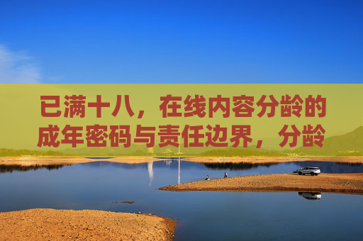 已满十八，在线内容分龄的成年密码与责任边界，分龄密码与责任边界
