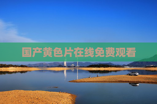 国产黄色片在线免费观看
