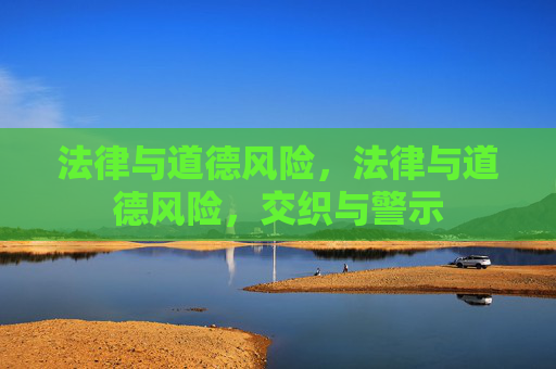 法律与道德风险,法律与道德风险,交织与警示