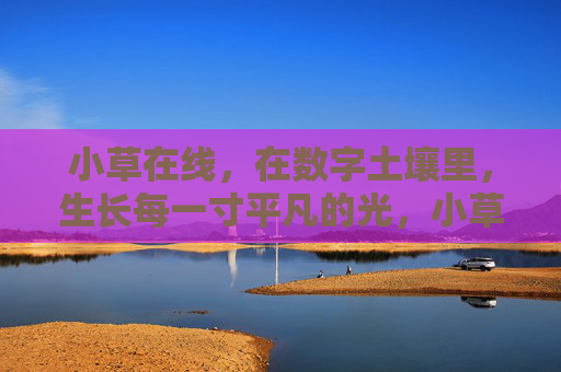 小草在线,在数字土壤里,生长每一寸平凡的光,小草在线,数字土壤生长平凡光