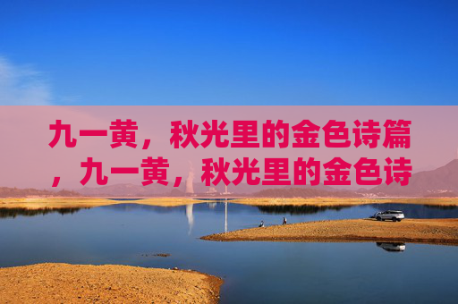 九一黄，秋光里的金色诗篇，九一黄，秋光里的金色诗篇