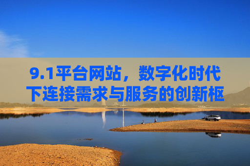 9.1平台网站，数字化时代下连接需求与服务的创新枢纽，1平台网站，数字化时代需求与服务的创新枢纽