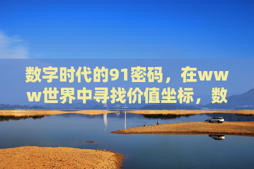 数字时代的91密码，在www世界中寻找价值坐标，数字时代91密码，www世界的价值坐标寻踪