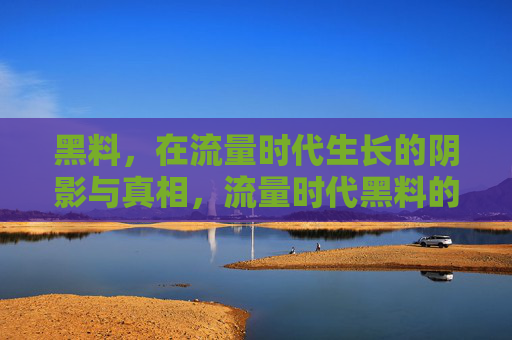 黑料,在流量时代生长的阴影与真相,流量时代黑料的生长,阴影与真相