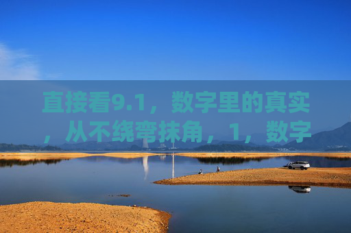 直接看9.1,数字里的真实,从不绕弯抹角,1,数字直击真实