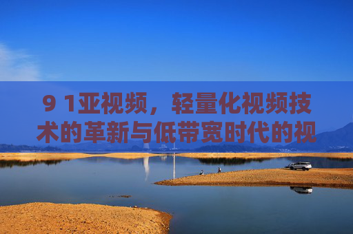 9 1亚视频,轻量化视频技术的革新与低带宽时代的视觉新体验,亚视频,轻量化技术革新与低带宽时代的视觉新体验
