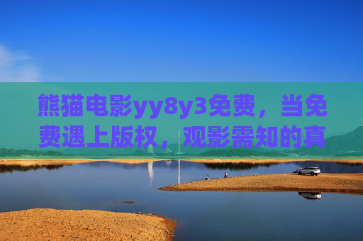 熊猫电影yy8y3免费，当免费遇上版权，观影需知的真相与边界，熊猫电影yy8y3免费，当免费遇上版权，观影真相与边界