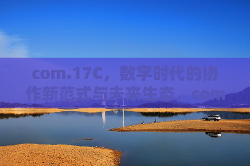 com.17C,数字时代的协作新范式与未来生态,com.17C,数字时代协作新范式与未来生态