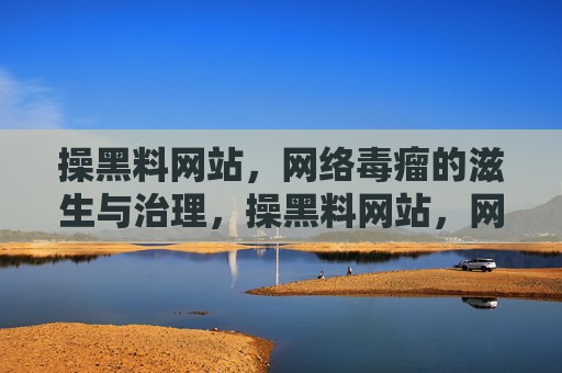 操黑料网站，网络毒瘤的滋生与治理，操黑料网站，网络毒瘤的滋生与治理