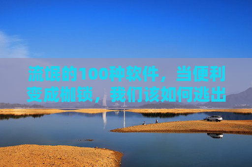 流氓的100种软件，当便利变成枷锁，我们该如何逃出数字陷阱？流氓软件，便利枷锁下的数字陷阱突围