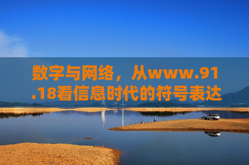 数字与网络，从www.91 .18看信息时代的符号表达与理性认知，数字网络与信息时代，www.91 .18的符号表达与理性认知