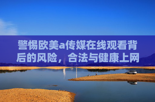 警惕欧美a传媒在线观看背后的风险，合法与健康上网指南，警惕欧美a传媒在线观看风险，合法健康上网指南