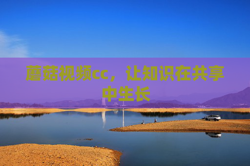 蘑菇视频cc，让知识在共享中生长
