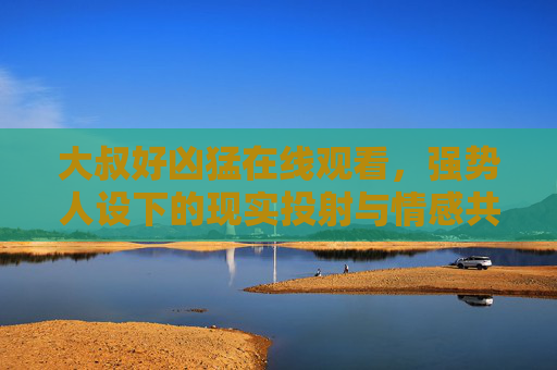大叔好凶猛在线观看，强势人设下的现实投射与情感共鸣，大叔好凶猛在线观看，强势人设的现实投射与情感共鸣