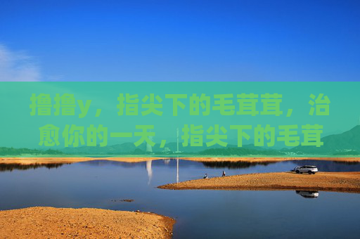 撸撸y，指尖下的毛茸茸，治愈你的一天，指尖下的毛茸茸，治愈撸猫日