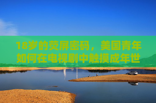 18岁的荧屏密码，美国青年如何在电视剧中触摸成年世界？18岁的荧屏密码，美国青年如何借电视剧触摸成年？