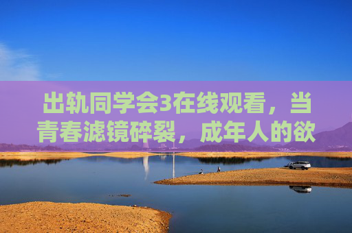 出轨同学会3在线观看，当青春滤镜碎裂，成年人的欲望与代价，出轨同学会3，青春滤镜碎裂后，成年人的欲望与代价