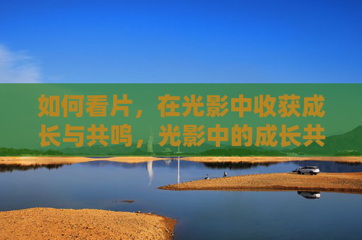 如何看片，在光影中收获成长与共鸣，光影中的成长共鸣之旅