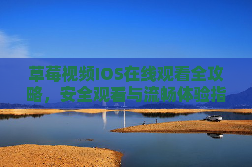 草莓视频IOS在线观看全攻略，安全观看与流畅体验指南，草莓视频IOS在线观看全攻略，安全流畅指南