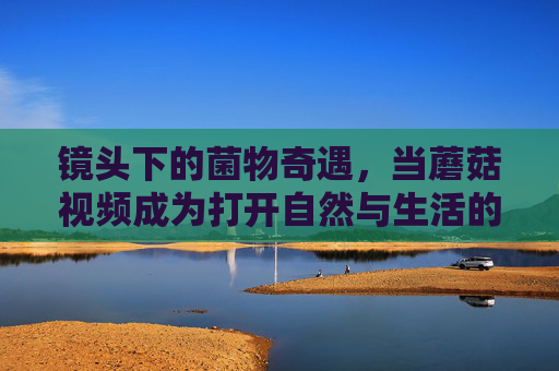 镜头下的菌物奇遇，当蘑菇视频成为打开自然与生活的密钥，镜头下的菌物奇遇，蘑菇视频，自然与生活的密钥