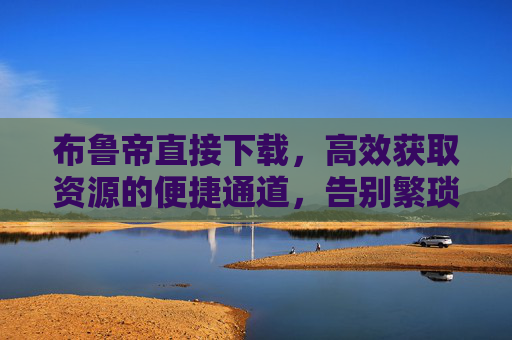 布鲁帝直接下载，高效获取资源的便捷通道，告别繁琐等待，布鲁帝直接下载，高效便捷，告别繁琐等待
