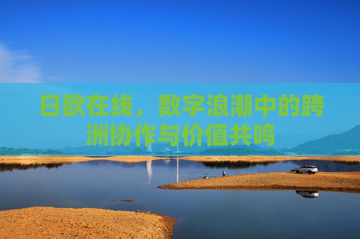 日欧在线，数字浪潮中的跨洲协作与价值共鸣