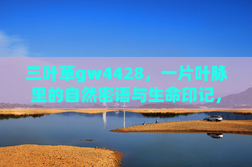三叶草gw4428，一片叶脉里的自然密语与生命印记，叶脉里的自然密语与生命印记