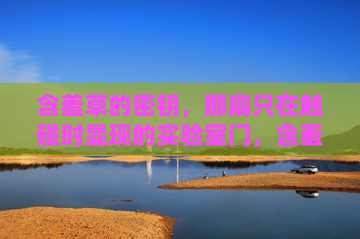 含羞草的密钥，那扇只在触碰时显现的实验室门，含羞草密钥，触碰即显的实验室门