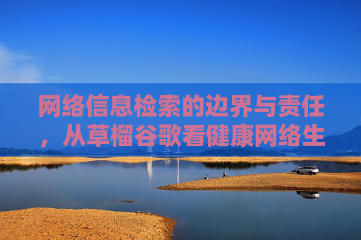 网络信息检索的边界与责任，从草榴谷歌看健康网络生态的构建，网络信息检索的边界与责任，健康网络生态构建