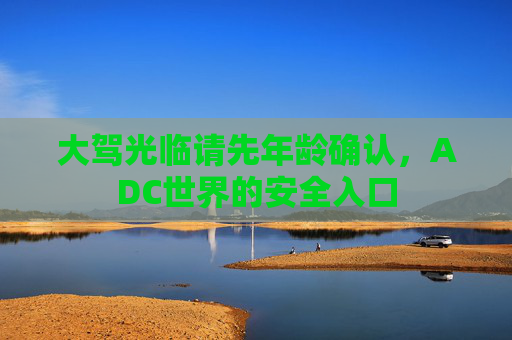 大驾光临请先年龄确认，ADC世界的安全入口