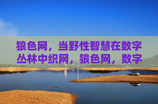 狼色网,当野性智慧在数字丛林中织网,狼色网,数字丛林中的野性智慧织网