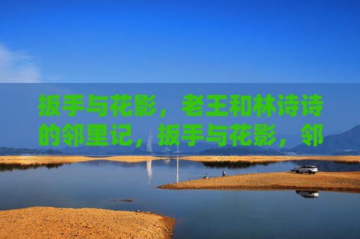 扳手与花影，老王和林诗诗的邻里记，扳手与花影，邻里记