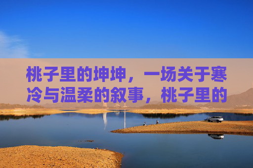 桃子里的坤坤，一场关于寒冷与温柔的叙事，桃子里的坤坤，寒冷与温柔