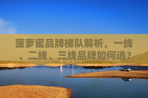 菠萝蜜品牌梯队解析,一线、二线、三线品牌如何选?菠萝蜜品牌梯队,一线、二线、三线选购指南