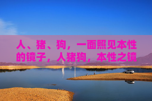 人、猪、狗，一面照见本性的镜子，人猪狗，本性之镜