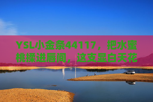 YSL小金条44117，把水蜜桃揉进唇间，这支显白天花板黄皮必入！