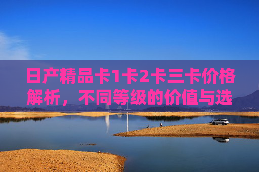 日产精品卡1卡2卡三卡价格解析，不同等级的价值与选择，日产精品卡1/2/三卡价格解析与价值选择