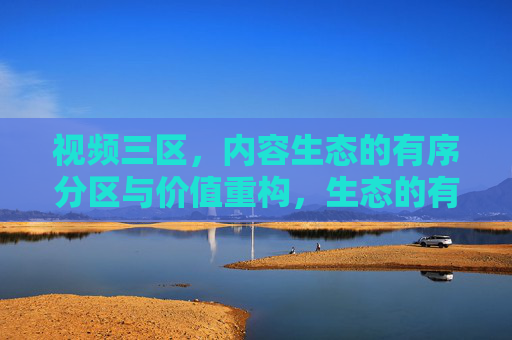 视频三区，内容生态的有序分区与价值重构，生态的有序分区与价值重构