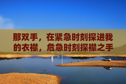 那双手，在紧急时刻探进我的衣襟，危急时刻探襟之手
