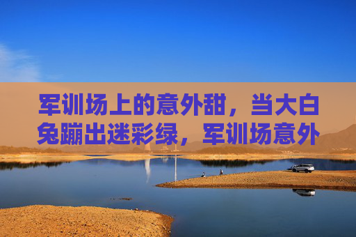 军训场上的意外甜，当大白兔蹦出迷彩绿，军训场意外甜，大白兔蹦出迷彩绿