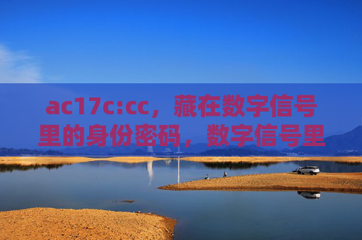 ac17c:cc,藏在数字信号里的身份密码,数字信号里的身份密码,ac17c:cc