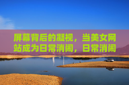 屏幕背后的凝视，当美女网站成为日常消闹，日常消闹，美女网站与屏幕背后的凝视
