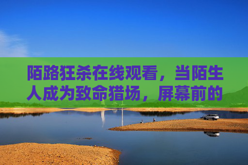 陌路狂杀在线观看，当陌生人成为致命猎场，屏幕前的你敢直视人性深渊吗？陌路狂杀，陌生人猎场与人性深渊