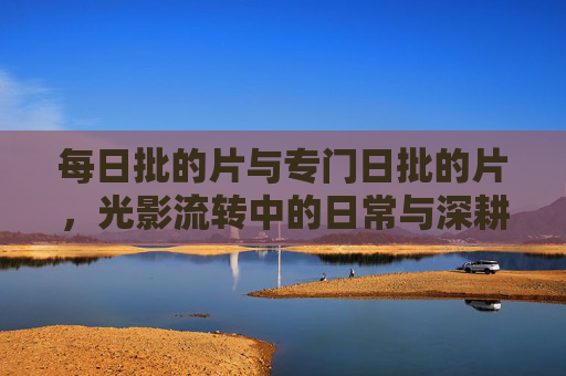 每日批的片与专门日批的片，光影流转中的日常与深耕，光影流转中的日常批片与深耕