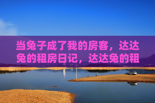 当兔子成了我的房客，达达兔的租房日记，达达兔的租房日记，当兔子成了房客