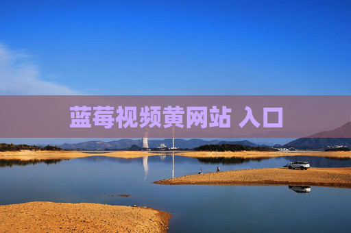蓝莓视频黄网站 入口